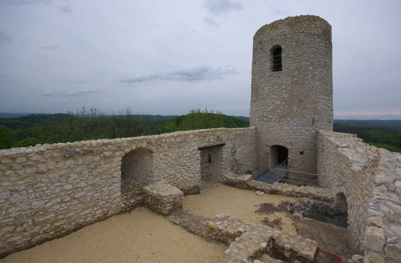Zamek Pilcza w Smoleniu 